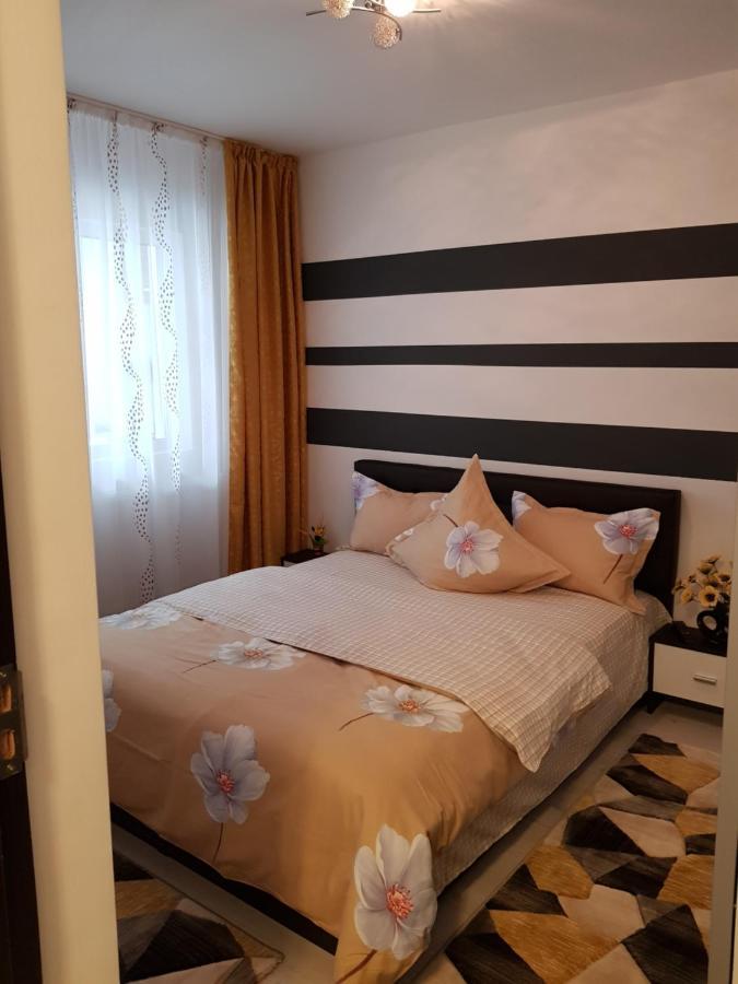 Apartament Sofy2 Băile Herculane Εξωτερικό φωτογραφία