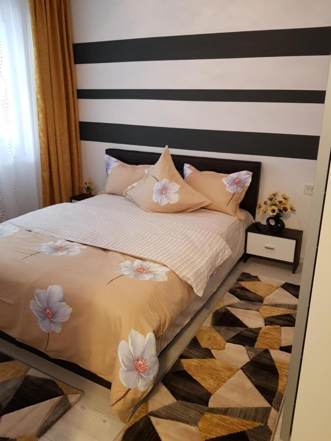 Apartament Sofy2 Băile Herculane Εξωτερικό φωτογραφία