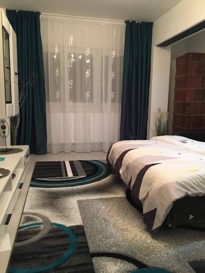 Apartament Sofy2 Băile Herculane Εξωτερικό φωτογραφία