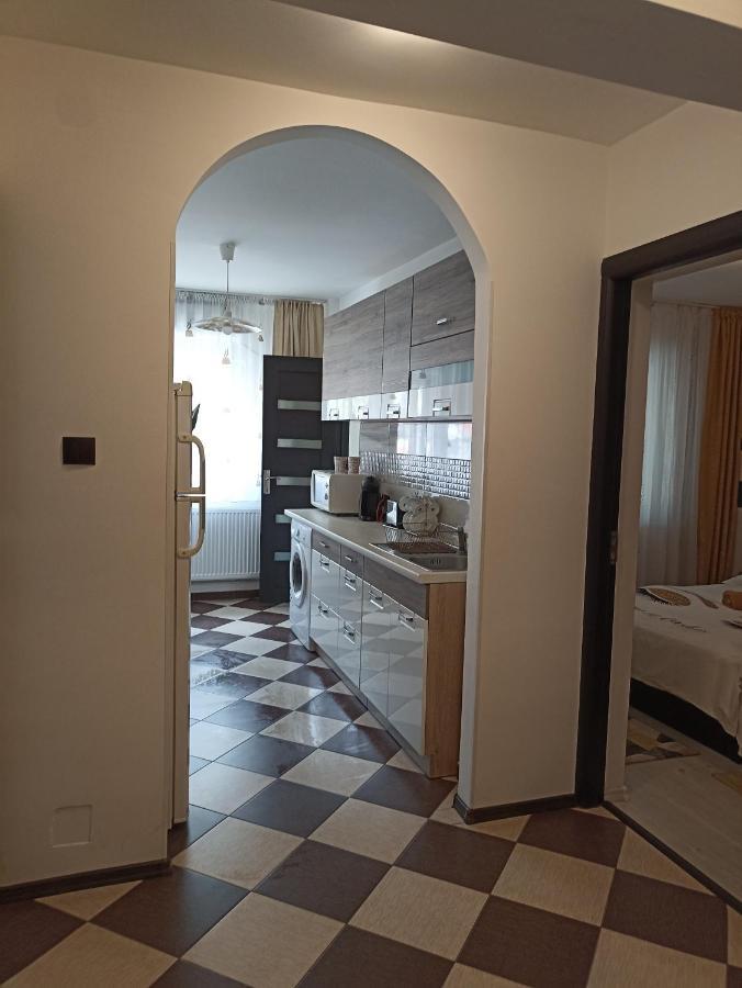 Apartament Sofy2 Băile Herculane Εξωτερικό φωτογραφία