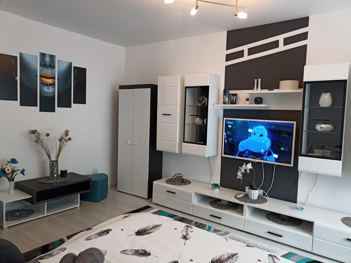 Apartament Sofy2 Băile Herculane Εξωτερικό φωτογραφία