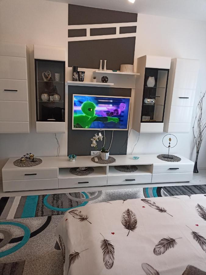 Apartament Sofy2 Băile Herculane Εξωτερικό φωτογραφία