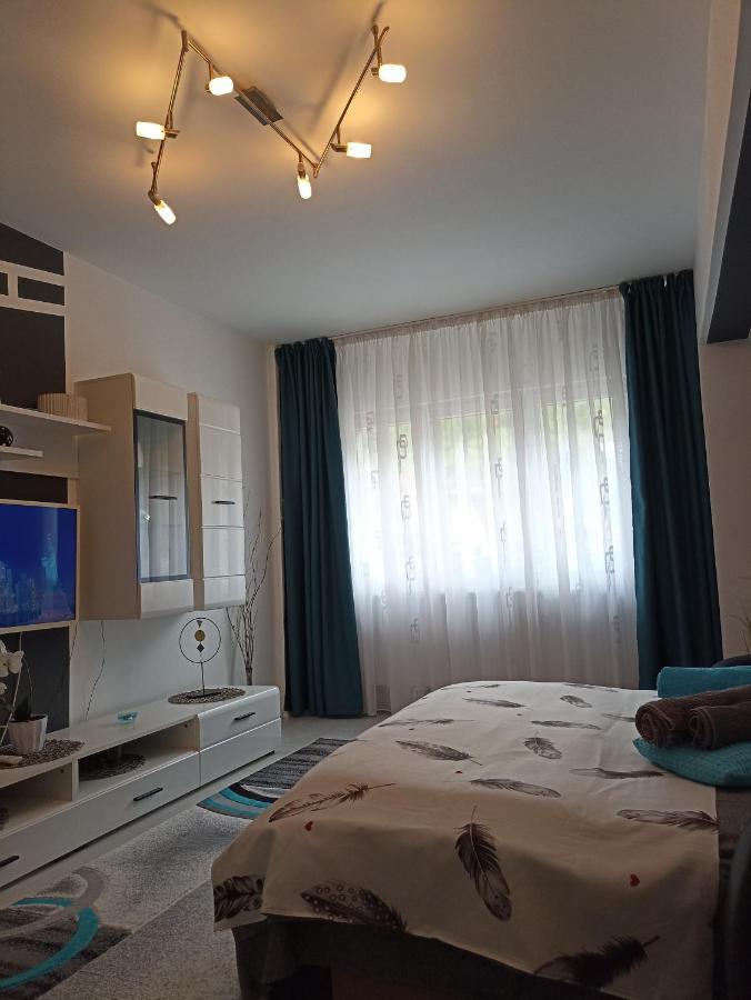 Apartament Sofy2 Băile Herculane Εξωτερικό φωτογραφία