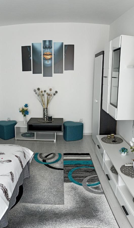 Apartament Sofy2 Băile Herculane Εξωτερικό φωτογραφία